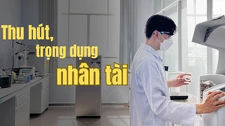 Triển khai thực hiện quy định về cơ chế, chính sách thu hút, trọng dụng người có tài năng
