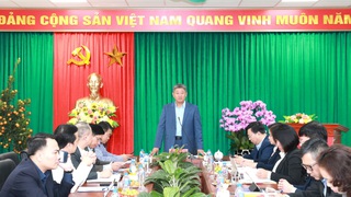 Phó Chủ tịch UBND Thành phố Nguyễn Mạnh Quyền kiểm tra công tác chuẩn bị bầu cử tại 5 phường