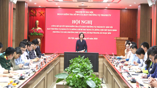 Công bố quyết định kiểm tra đối với Đảng ủy 4 xã, phường