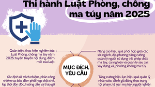 Triển khai thi hành Luật Phòng, chống ma túy năm 2025
