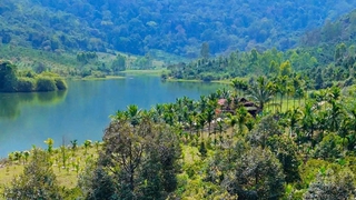 Triển khai các giải pháp phát triển rừng, cây xanh