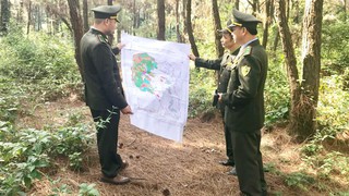 Tặng Bằng khen cho 09 tập thể và 03 cá nhân thuộc Sở Nông nghiệp và Môi trường