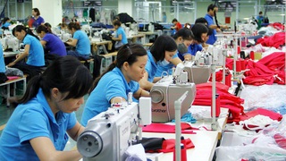 Thành lập Ban Tổ chức Tháng hành động về An toàn, vệ sinh lao động và Tháng Công nhân năm 2026