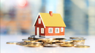 Thông tin chỉ đạo, điều hành của UBND Thành phố, Chủ tịch UBND thành phố Hà Nội (ngày 19/3/2026)