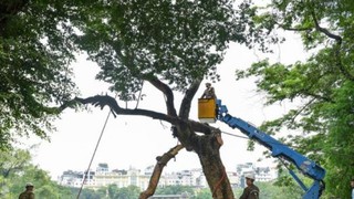 Phê duyệt quy trình nội bộ, quy trình điện tử giải quyết thủ tục hành chính trong lĩnh vực Hạ tầng kỹ thuật