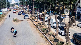 Phê duyệt Dự án đầu tư Xây dựng tuyến đường 70 mới nối từ đường 32 đến Khu công nghệ cao sinh học