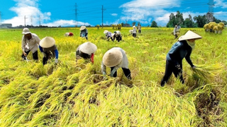 Ban hành Quy chế phối hợp quản lý nhà nước đối với doanh nghiệp, hộ kinh doanh, tổ hợp tác, hợp tác xã, liên hiệp hợp tác xã