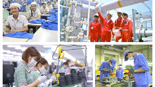 Thực hiện Chương trình hỗ trợ phát triển thị trường lao động Thủ đô giai đoạn 2026 - 2030