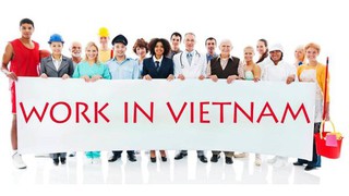 Ban hành Quy chế phối hợp hoạt động giữa các cơ quan quản lý nhà nước về người lao động nước ngoài