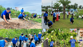 Tăng cường đảm bảo công tác vệ sinh môi trường