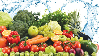 Triển khai các mô hình bảo đảm an toàn thực phẩm