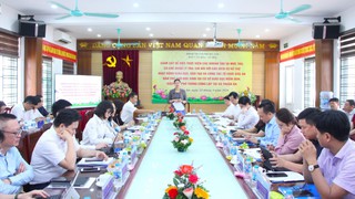 Giám sát việc thu - chi dịch vụ giáo dục và bữa ăn bán trú tại xã Thuận An