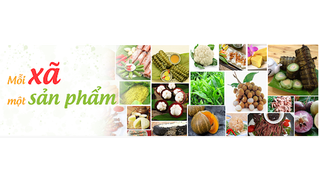 Triển khai thực hiện Chương trình Mỗi xã một sản phẩm