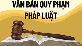 Tổng rà soát hệ thống văn bản quy phạm pháp luật do Thành phố ban hành
