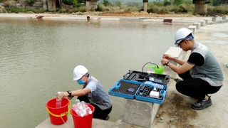 Tăng cường hiệu lực, hiệu quả quản lý nhà nước về quan trắc nước thải, khí thải tự động, liên tục