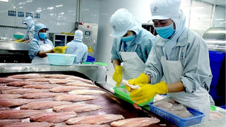 Chấn chỉnh công tác kiểm soát giết mổ, tăng cường kỷ luật, kỷ cương trong thực thi công vụ