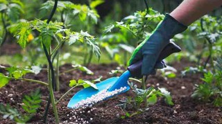 Tăng cường công tác quản lý, điều hành và bình ổn giá