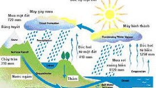 Công bố danh mục thủ tục hành chính lĩnh vực Khí tượng thủy văn