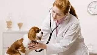 Công bố thủ tục hành chính nội bộ mới và bãi bỏ lĩnh vực Thú y và Thủy sản