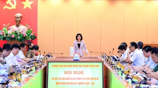 Tập trung rà soát, xây dựng các nội dung trình tại kỳ họp chuyên đề HĐND Thành phố đảm bảo tiến độ, chất lượng