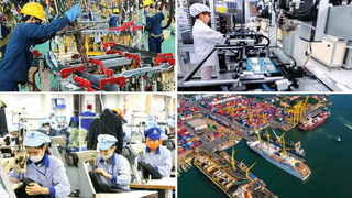 Khảo sát, thu thập thông tin và chuẩn hóa dữ liệu thị trường lao động