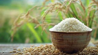 Hỗ trợ hơn 65 tấn gạo cho học sinh Trường Phổ thông Dân tộc nội trú