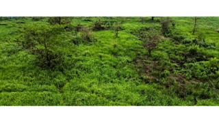 Năm 2026, dự kiến tổ chức đấu giá 306 dự án, khu đất