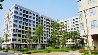 Giao 16.060m2 đất cho Công ty cổ phần Đầu tư Lạc Hồng để thực hiện Dự án Đầu tư xây dựng nhà ở