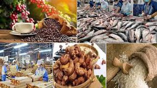 Phê duyệt phương án tái cấu trúc thủ tục hành chính lĩnh vực Xúc tiến thương mại