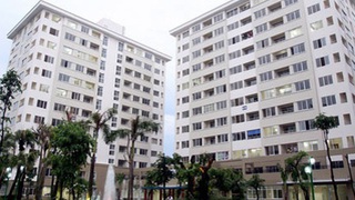 Ban hành Quy định Đấu giá cho thuê đối với tài sản công là diện tích kinh doanh dịch vụ tại các nhà chung cư tái định cư và nhà ở xã hội