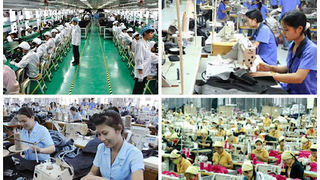 Hỗ trợ đào tạo nghề, giải quyết việc làm cho nhóm lao động ưu tiên giai đoạn 2026 - 2030