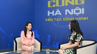 Mô hình 