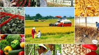 Công bố danh mục thủ tục hành chính lĩnh vực Trồng trọt và Bảo vệ thực vật