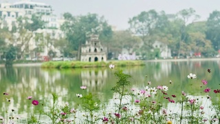 Tăng cường bảo đảm trật tự đô thị, vệ sinh môi trường, trang trí nghệ thuật tại các không gian công cộng và vườn hoa