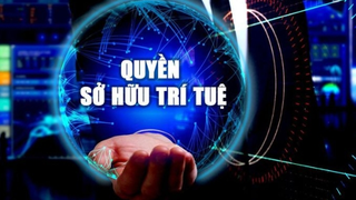 Thành lập Tổ công tác liên ngành chỉ đạo triển khai các giải pháp đấu tranh, ngăn chặn, xử lý hành vi xâm phạm quyền sở hữu trí tuệ