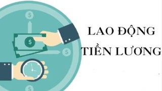 Phê duyệt 04 quy trình nội bộ, quy trình điện tử giải quyết thủ tục hành chính lĩnh vực Lao động, Tiền lương