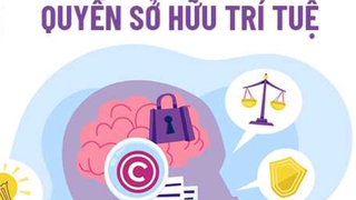 Tăng cường phòng, chống tội phạm và vi phạm pháp luật về xâm phạm sở hữu trí tuệ