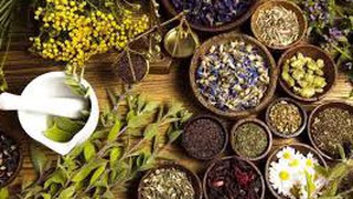 Phê duyệt phương án tái cấu trúc thủ tục hành chính lĩnh vực Y dược cổ truyền