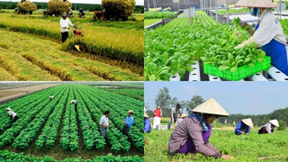 Kế hoạch đầu tư phát triển giai đoạn 2026-2030 của Quỹ Hỗ trợ phát triển Hợp tác xã
