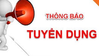 Thông báo tuyển dụng lao động hợp đồng làm chuyên môn, nghiệp vụ tại Sở Khoa học và Công nghệ