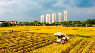 Thành lập Ban Chỉ đạo Chương trình mục tiêu quốc gia xây dựng nông thôn mới, giảm nghèo bền vững và phát triển kinh tế - xã hội vùng đồng bào dân tộc thiểu số và miền núi giai đoạn 2026-2030