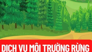 Phê duyệt Kế hoạch thu, chi tiền dịch vụ môi trường rừng năm 2026