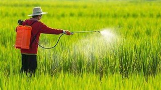 Phê duyệt quy trình nội bộ, quy trình điện tử giải quyết thủ tục hành chính lĩnh vực Trồng trọt và Bảo vệ thực vật