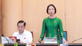 Nhiều ý kiến đóng góp về phát triển kinh tế đêm, đảm bảo cân đối nguồn lực phát triển