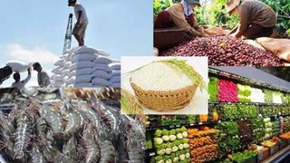 Công bố danh mục thủ tục hành chính lĩnh vực Quản lý Chất lượng Nông, Lâm sản và Thủy sản, Kinh tế hợp tác và Phát triển nông thôn