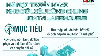 Tổ chức tích hợp, di trú và chuẩn hóa dữ liệu về Kho dữ liệu dùng chung Thành phố