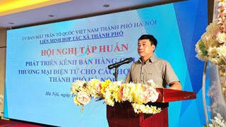 Liên minh Hợp tác xã Thành phố hỗ trợ hợp tác xã mở rộng kênh bán hàng online
