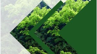 Phê duyệt quy trình nội bộ, quy trình điện tử giải quyết thủ tục hành chính lĩnh vực Lâm nghiệp và Kiểm lâm