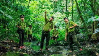 Công bố chuẩn hóa Danh mục thủ tục hành chính lĩnh vực Lâm nghiệp và Kiểm lâm