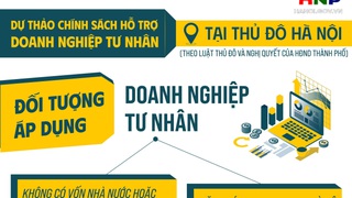 Dự thảo chính sách hỗ trợ kinh tế tư nhân tại Hà Nội